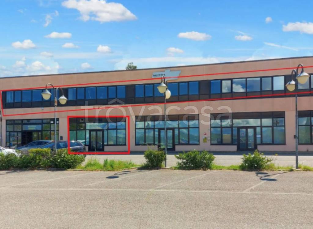 immagine annuncio 1 di 11