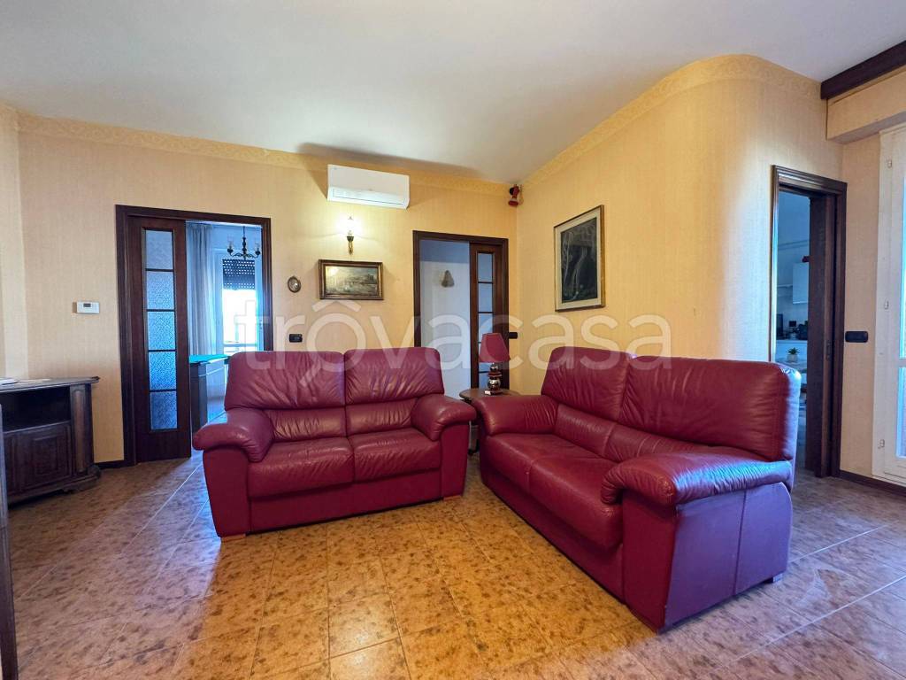 immagine annuncio 2 di 12