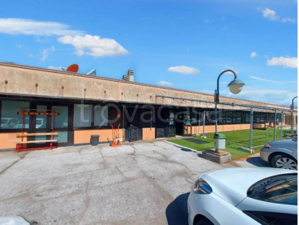 immagine annuncio 2 di 11