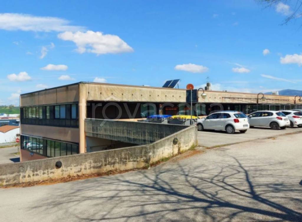 immagine annuncio 4 di 11