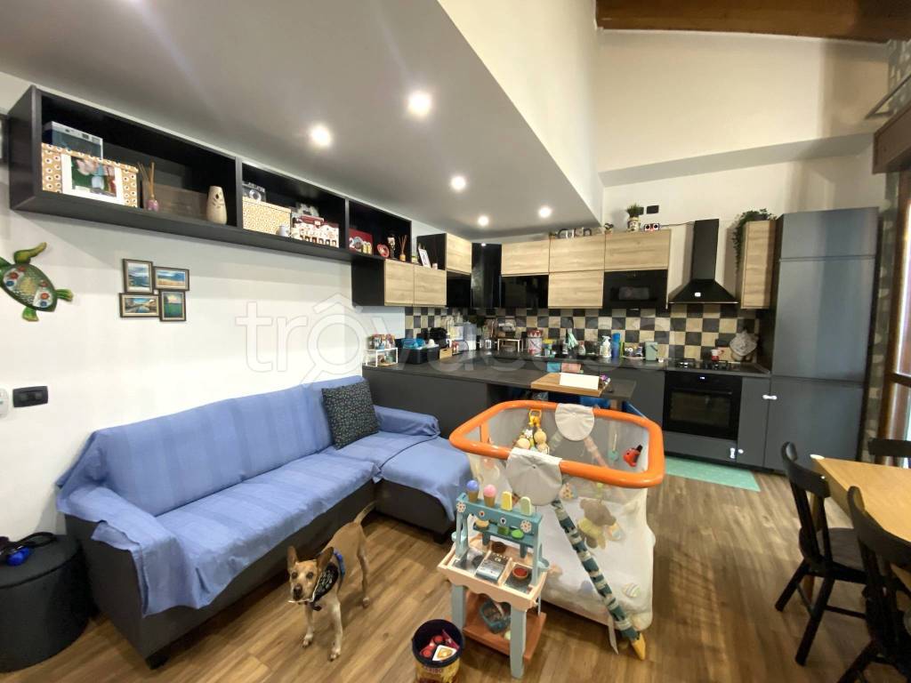 immagine annuncio 1 di 15