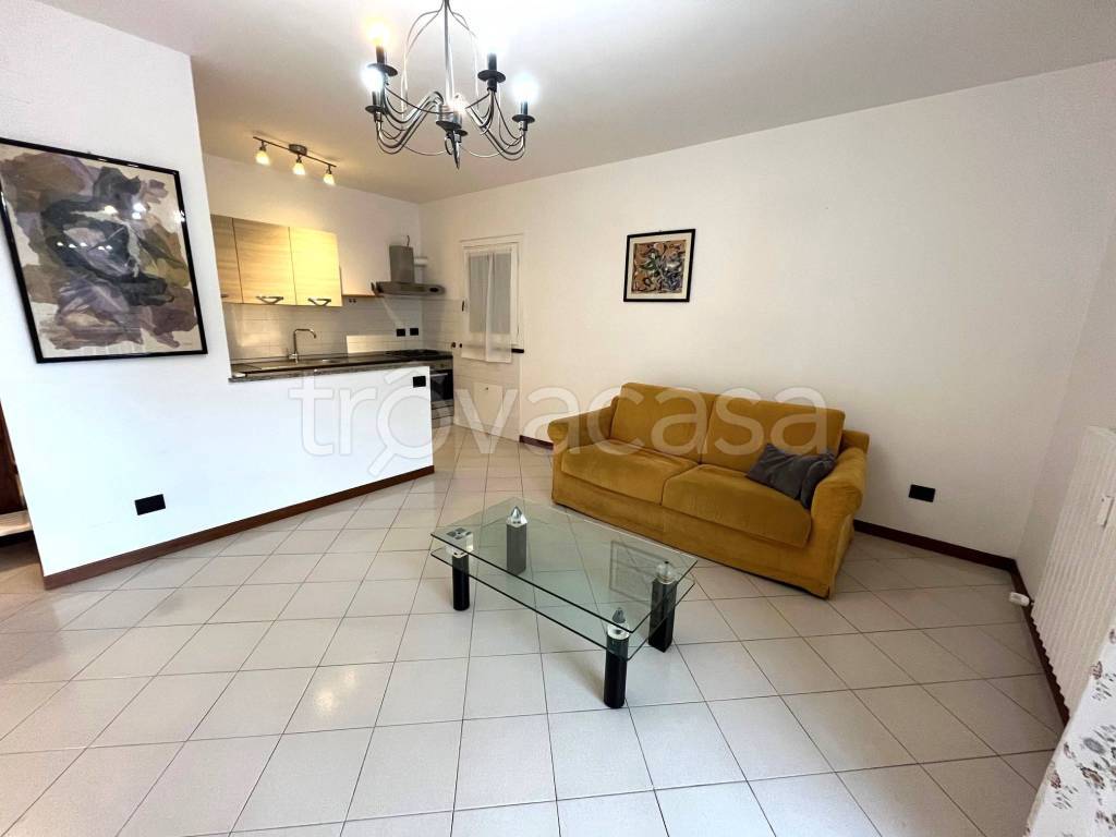 immagine annuncio 1 di 14