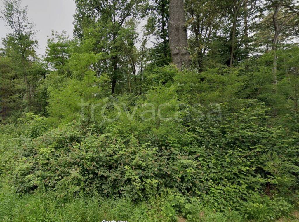 immagine annuncio 1 di 2