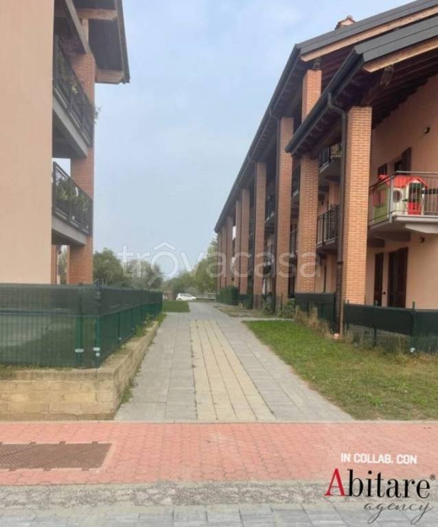 immagine annuncio 2 di 10