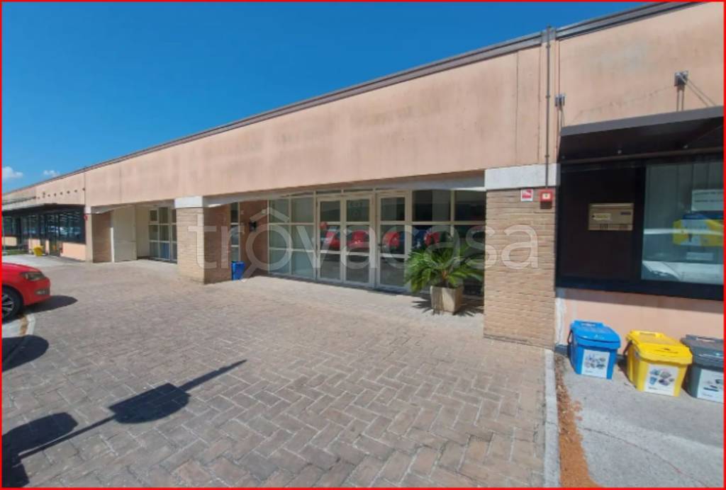 immagine annuncio 3 di 12