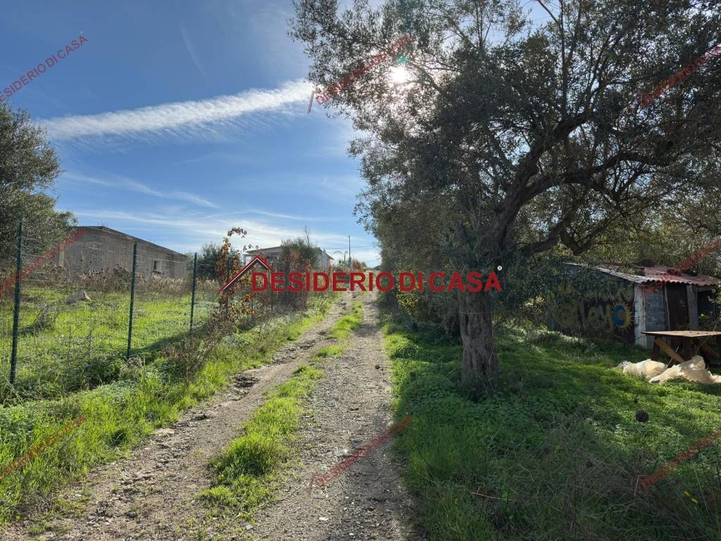 immagine annuncio 2 di 3