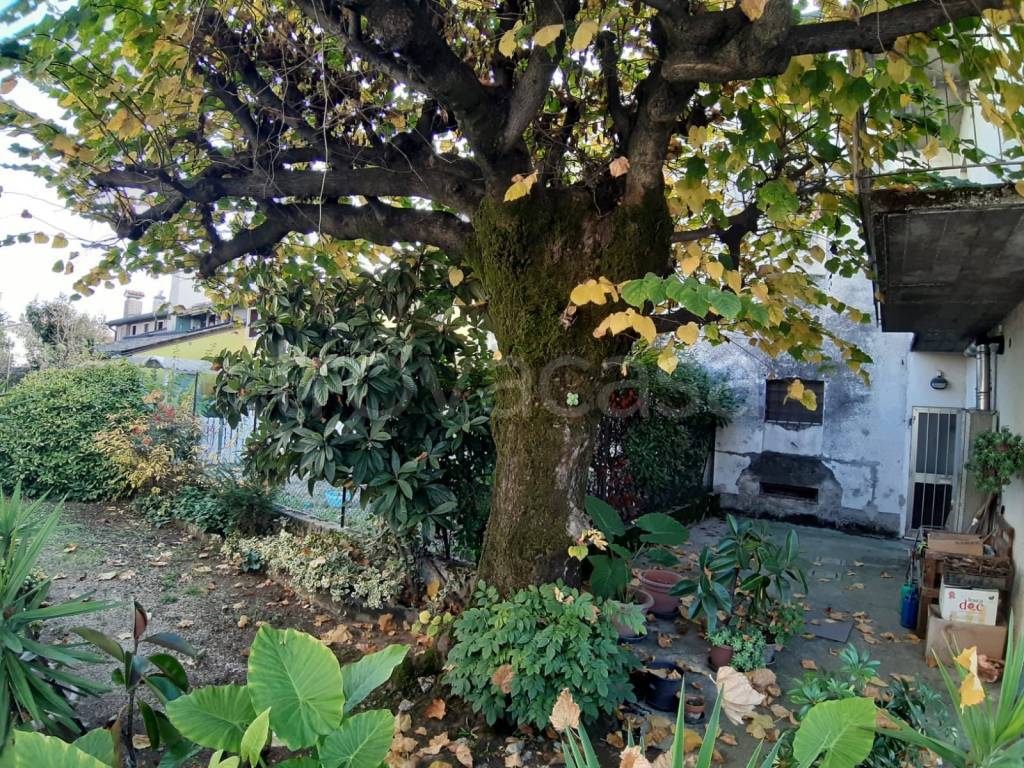 immagine annuncio 4 di 8