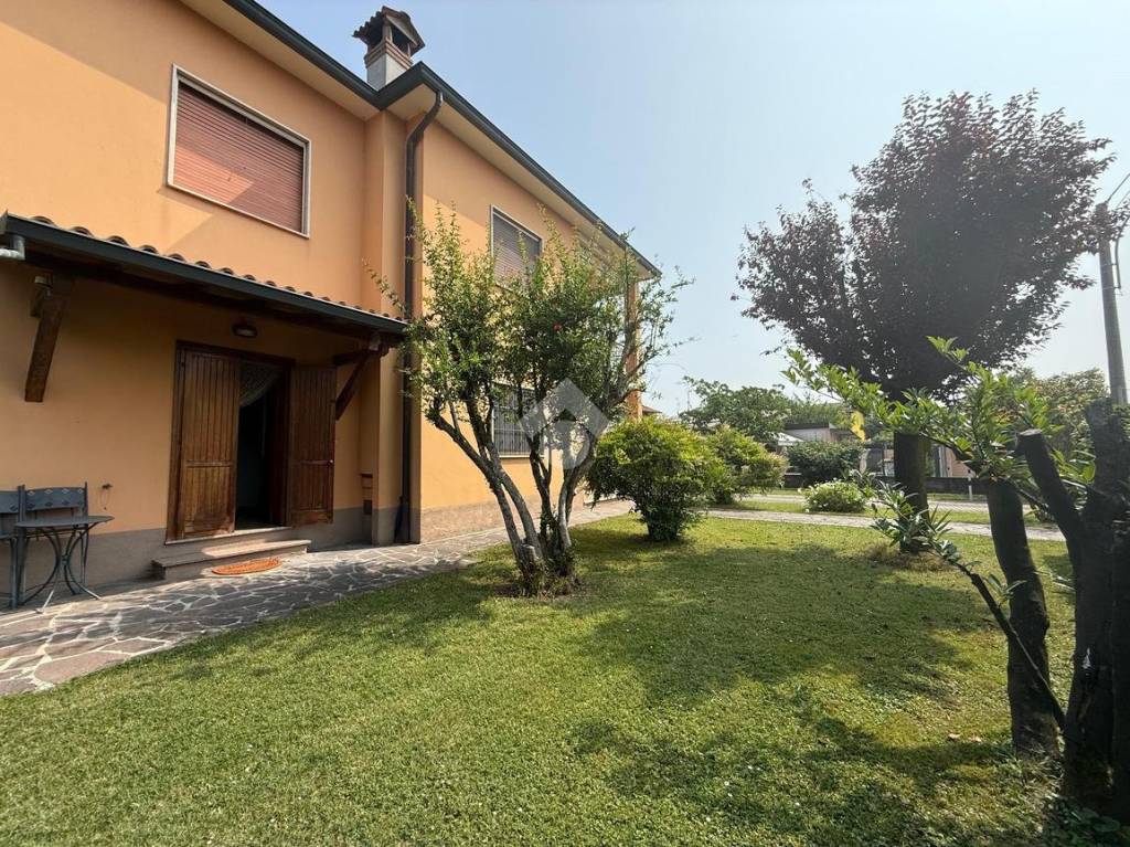 immagine annuncio 1 di 12