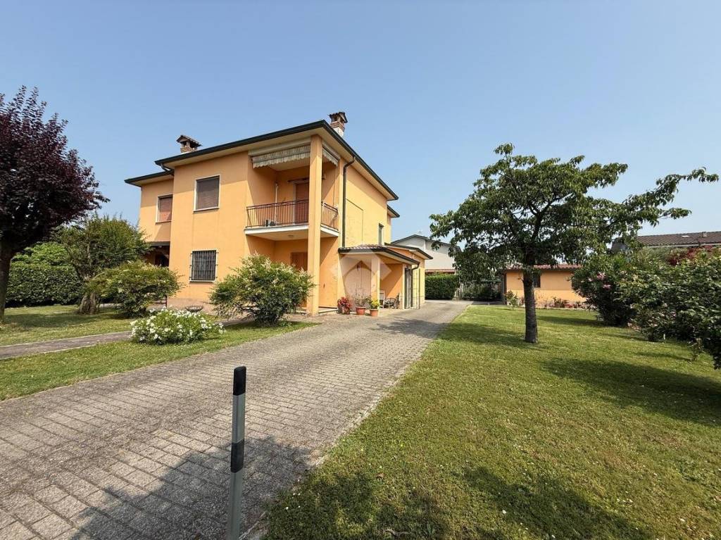 immagine annuncio 11 di 12