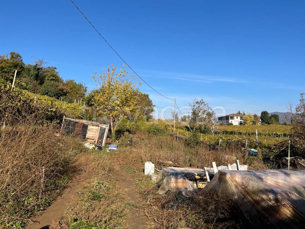 immagine annuncio 4 di 8