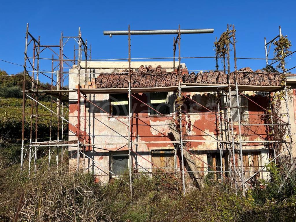 immagine annuncio 2 di 8