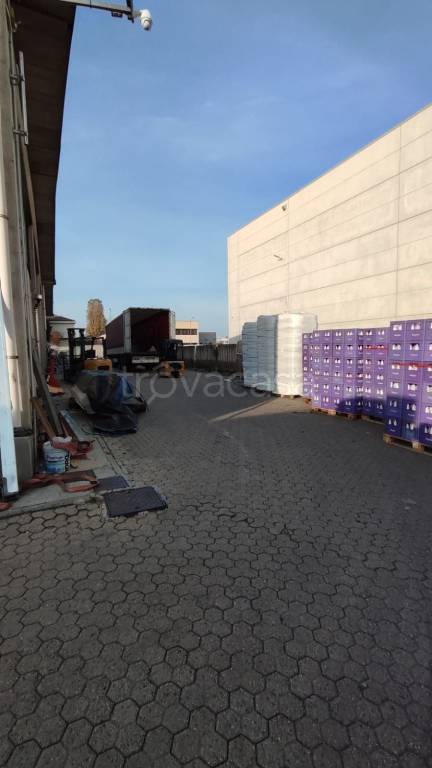 immagine annuncio 9 di 10