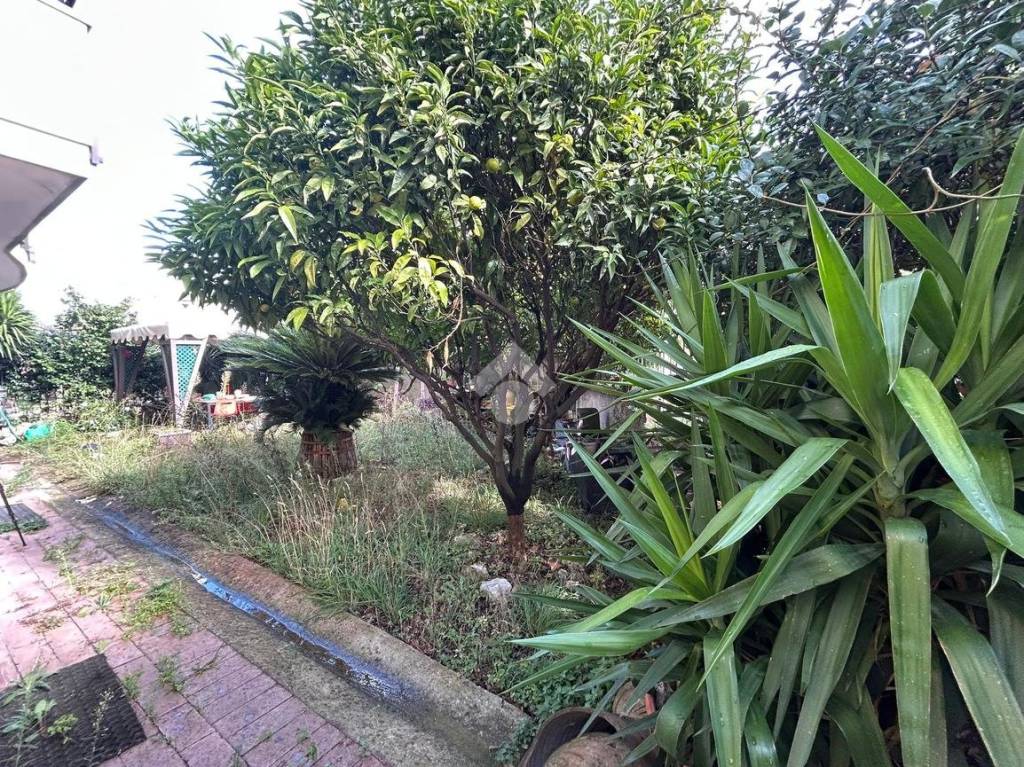 immagine annuncio 2 di 14