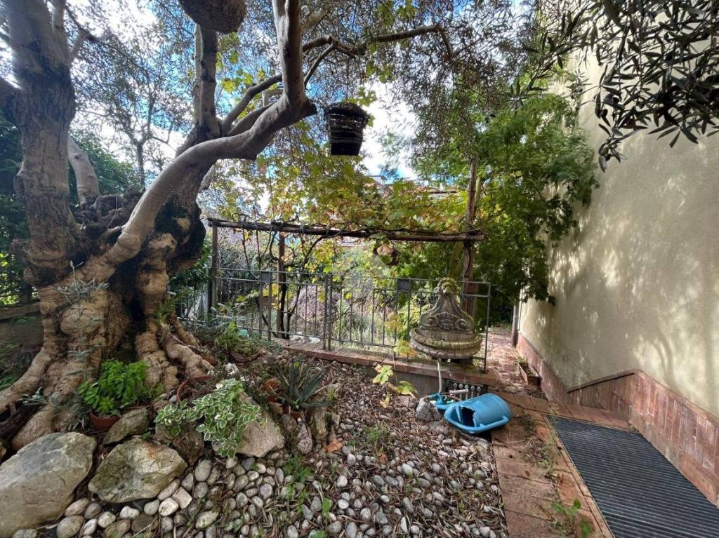 immagine annuncio 3 di 14