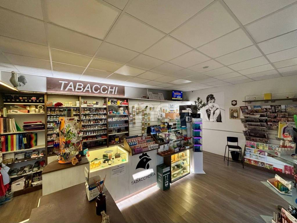 immagine annuncio 7 di 12