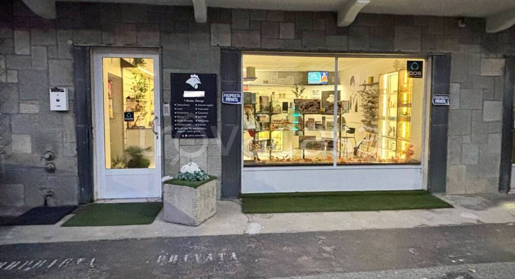 immagine annuncio 6 di 12