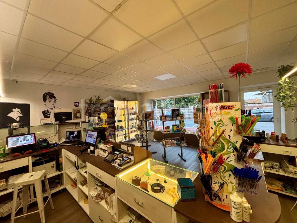 immagine annuncio 4 di 12