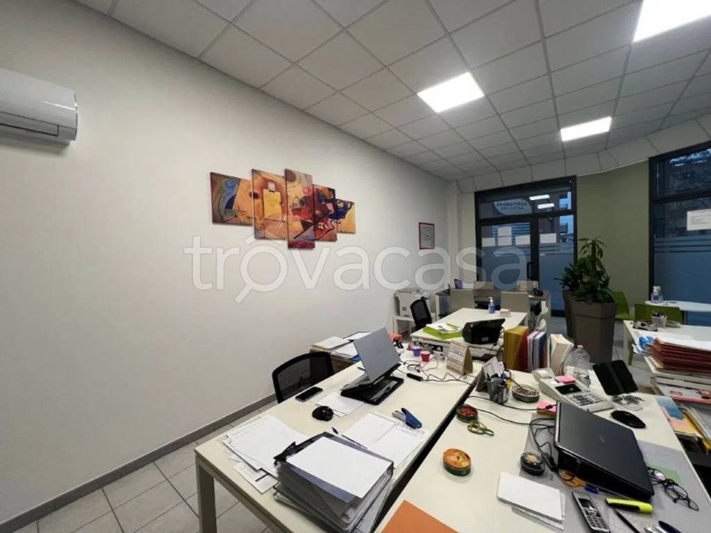 immagine annuncio 11 di 15