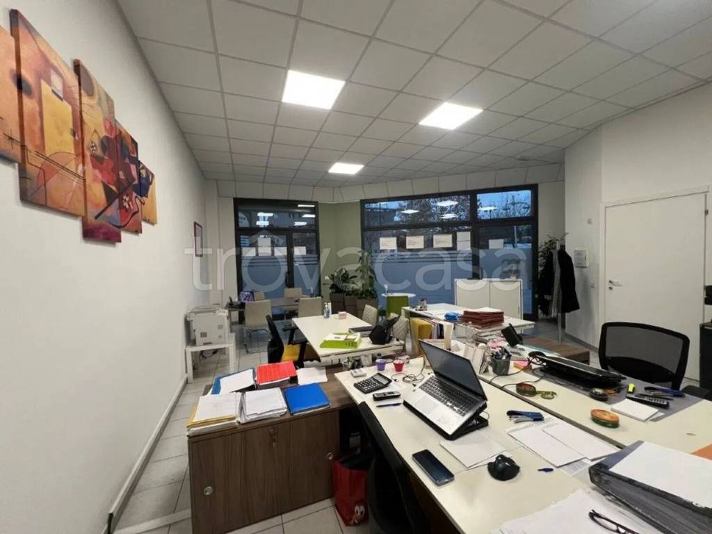 immagine annuncio 12 di 15