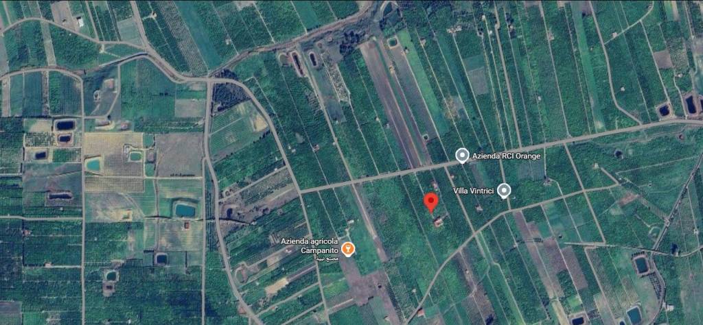 immagine annuncio 9 di 11