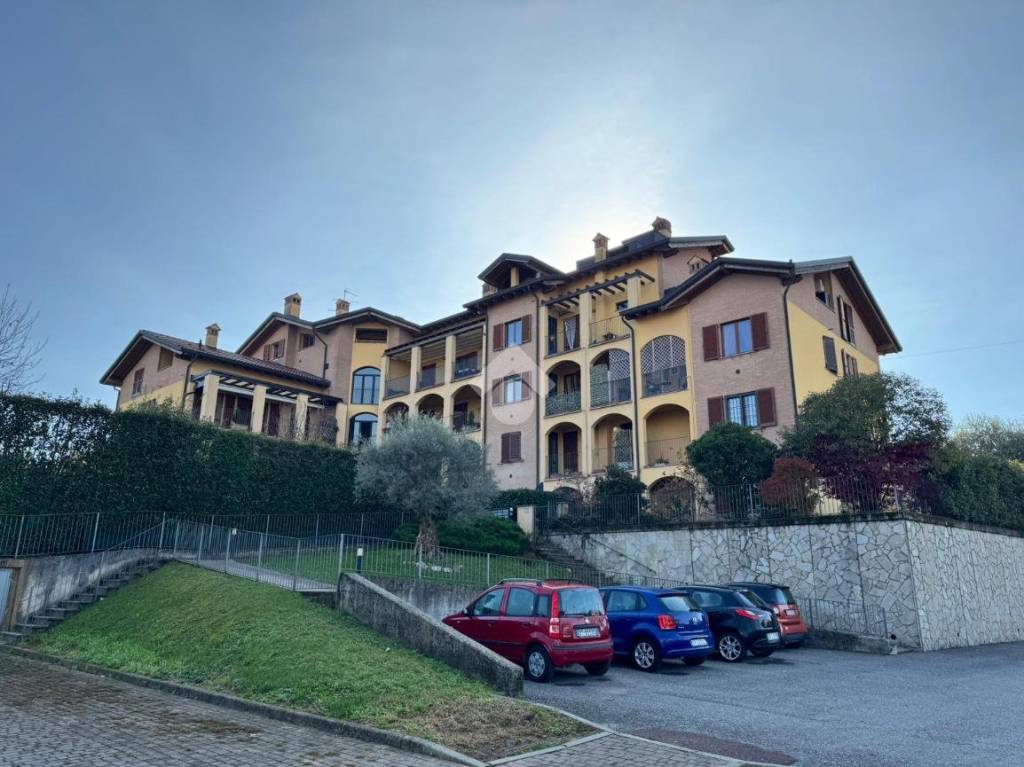 immagine annuncio 1 di 14