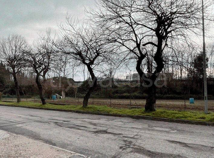 immagine annuncio 9 di 14