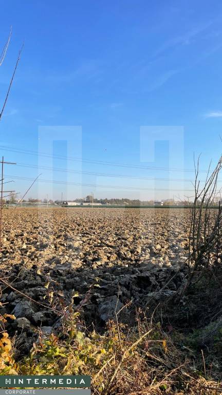 immagine annuncio 12 di 14