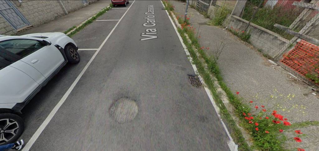 immagine annuncio 12 di 14