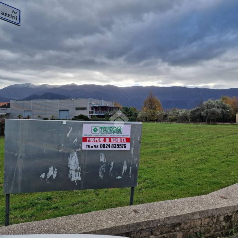 immagine annuncio 2 di 14