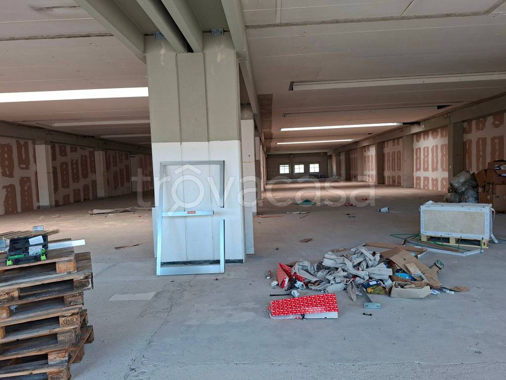 immagine annuncio 9 di 13