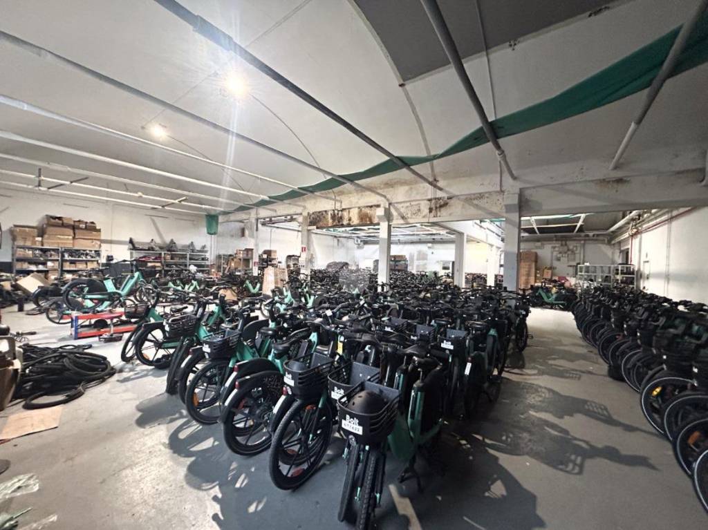 immagine annuncio 1 di 15