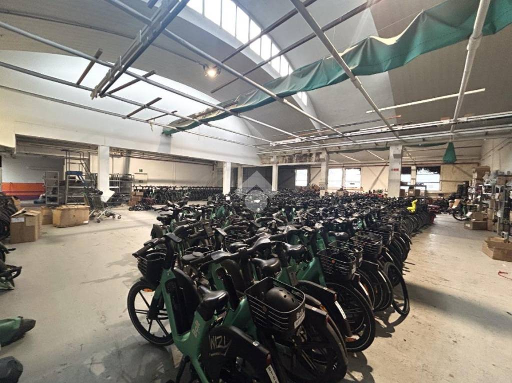 immagine annuncio 5 di 15