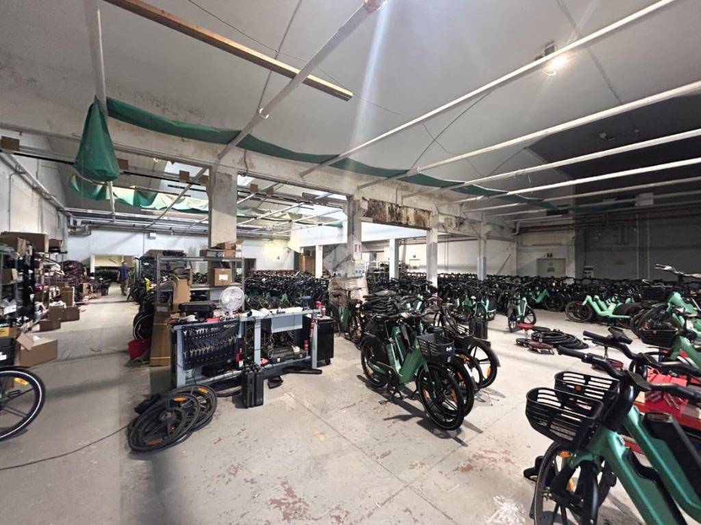 immagine annuncio 10 di 15