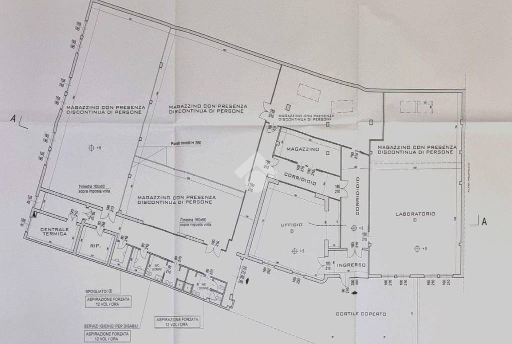 immagine annuncio 14 di 15