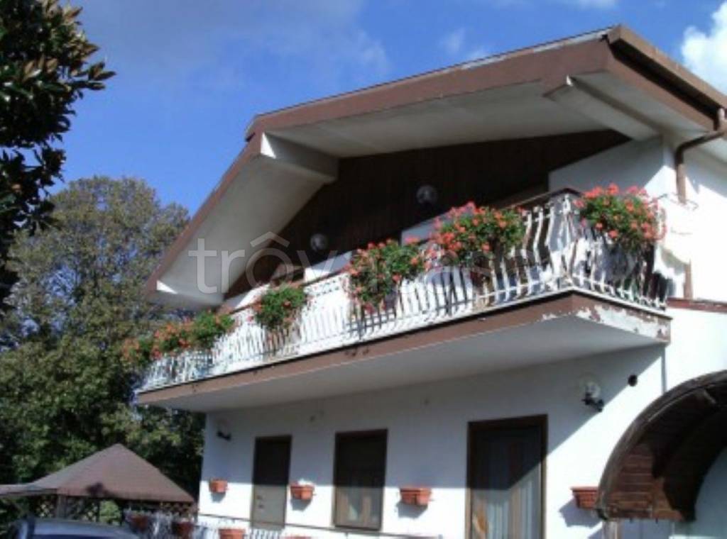 immagine annuncio 6 di 11