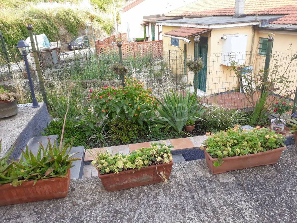 immagine annuncio 12 di 13