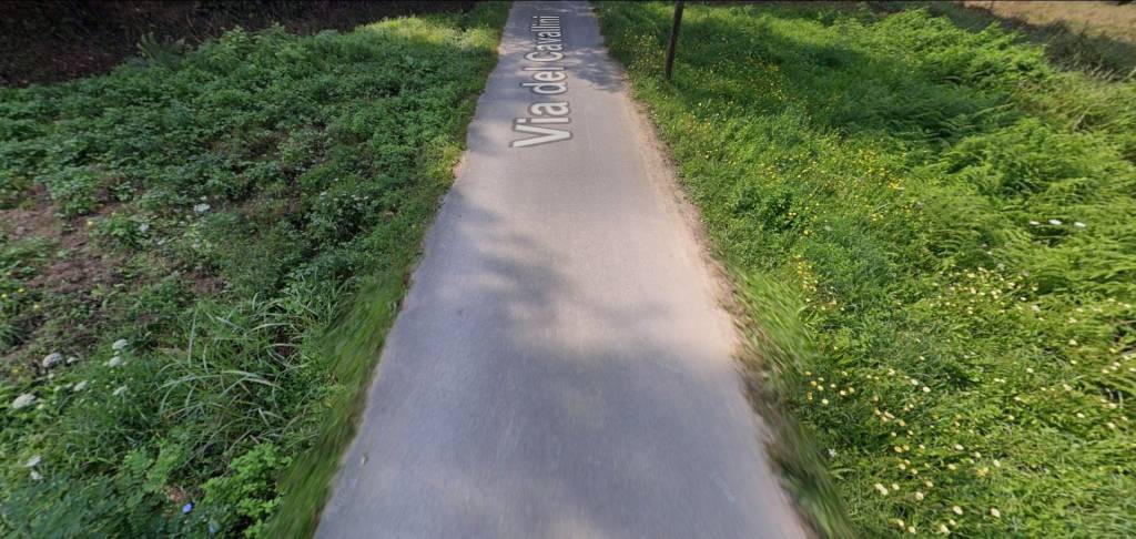 immagine annuncio 3 di 12