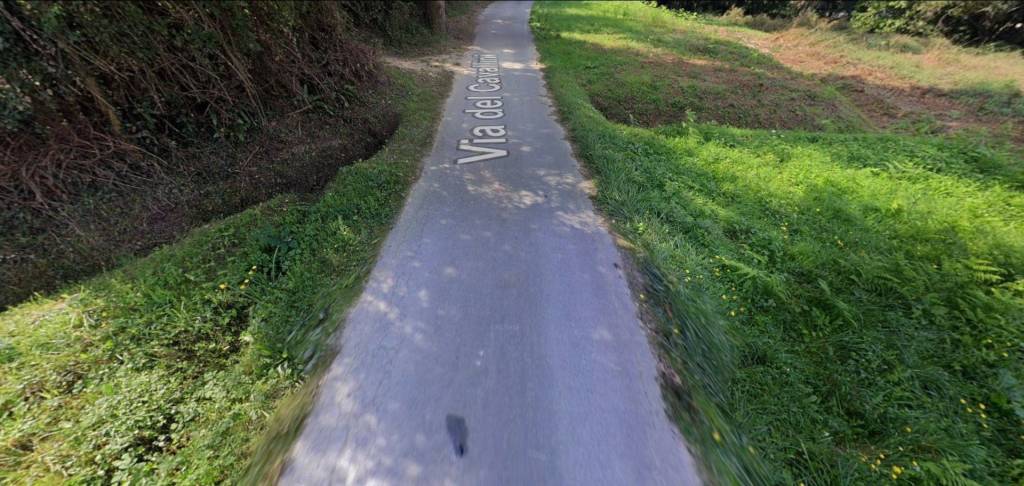 immagine annuncio 4 di 12