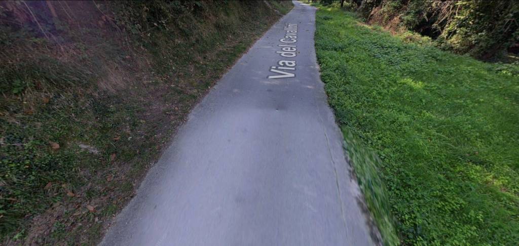 immagine annuncio 7 di 12