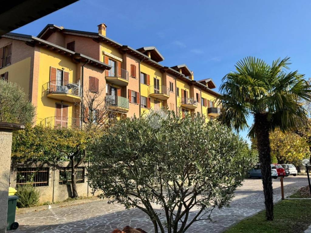 immagine annuncio 1 di 14