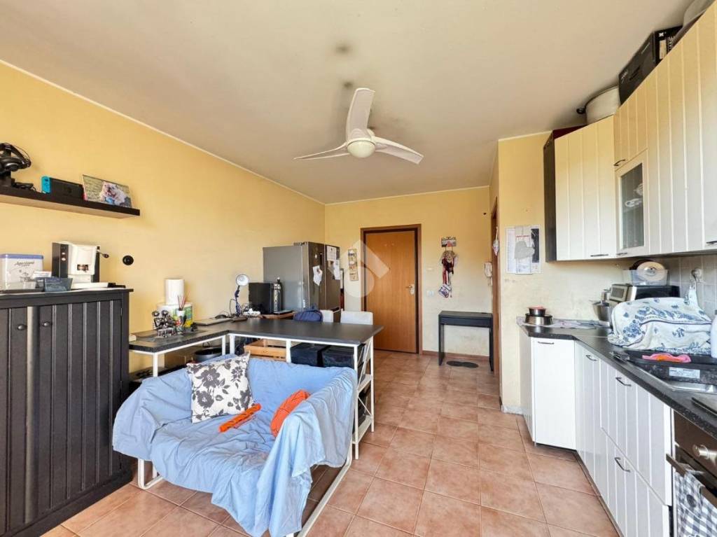 immagine annuncio 2 di 14