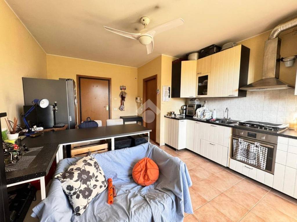 immagine annuncio 4 di 14