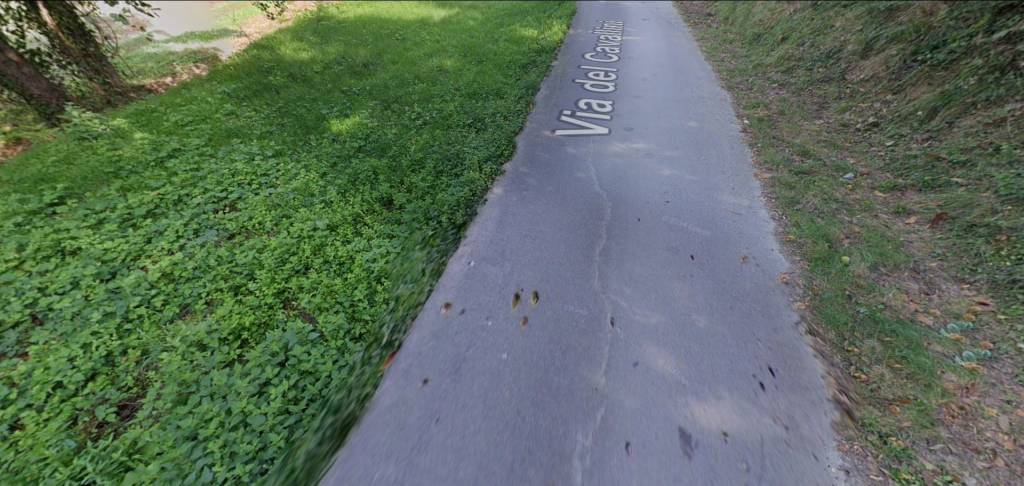 immagine annuncio 9 di 12