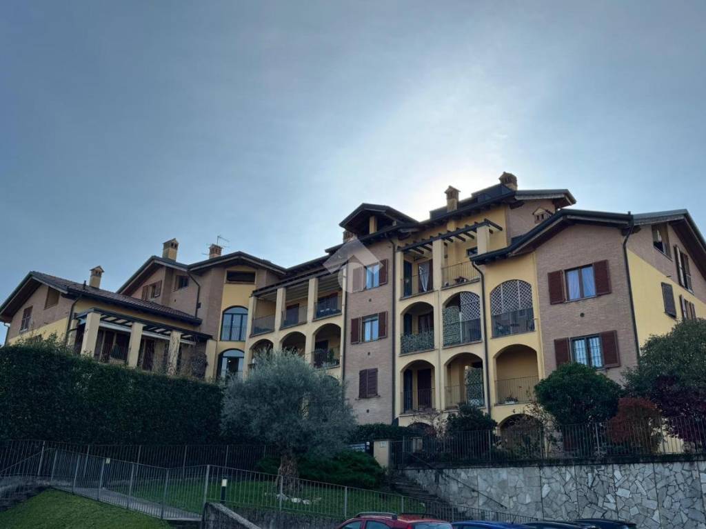 immagine annuncio 12 di 14