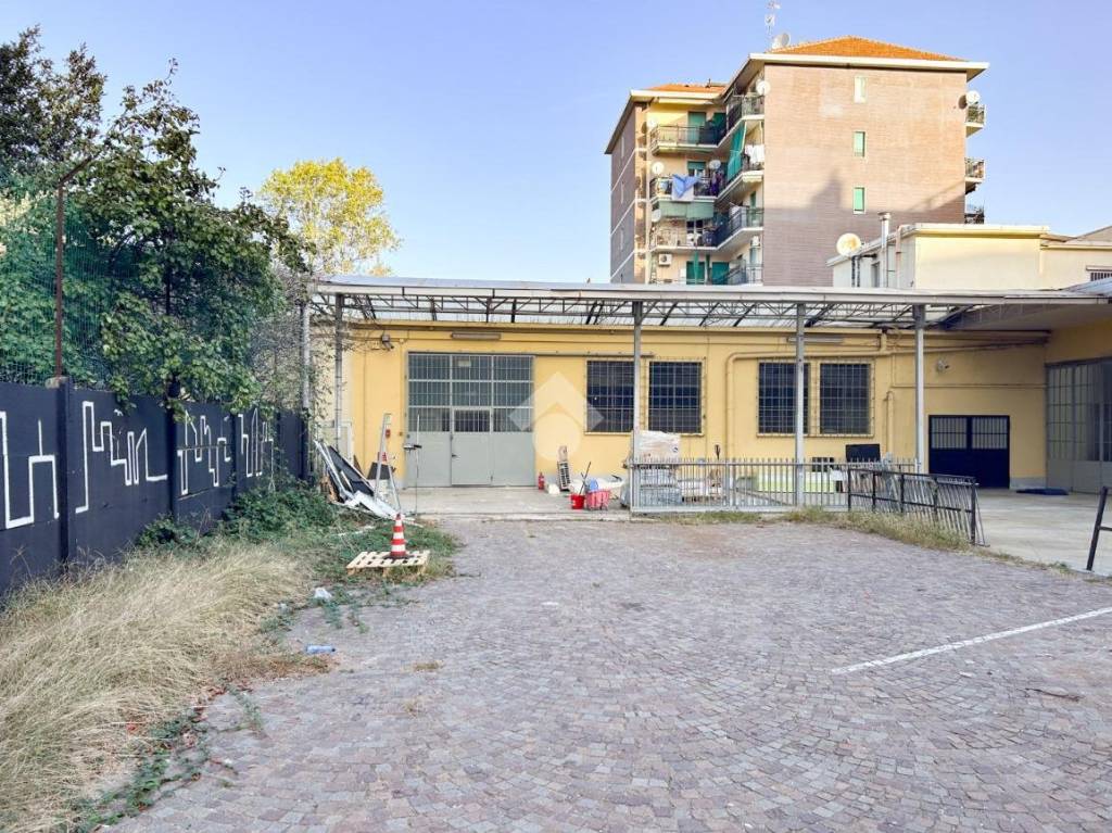 immagine annuncio 1 di 15