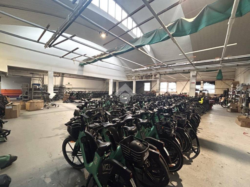 immagine annuncio 4 di 15