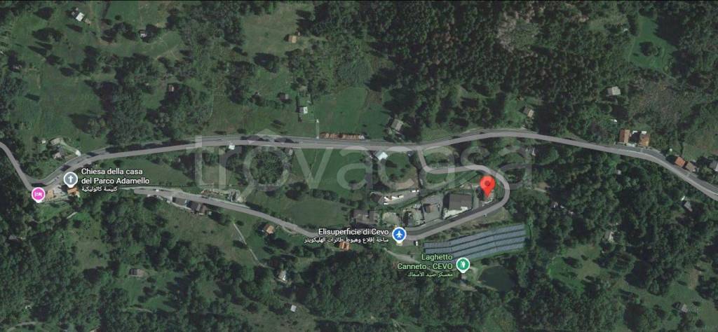 immagine annuncio 8 di 12