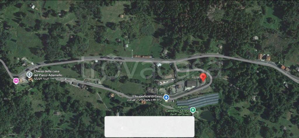 immagine annuncio 9 di 12