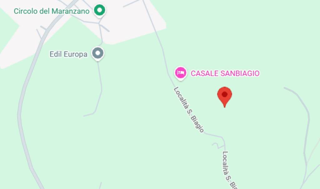 immagine annuncio 5 di 11