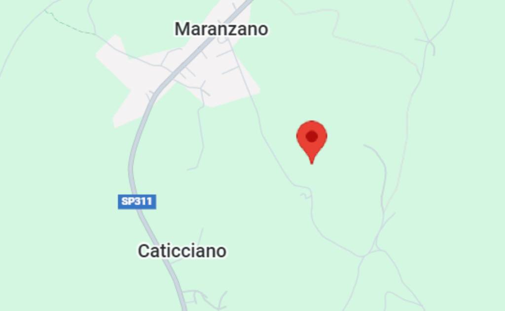 immagine annuncio 7 di 11